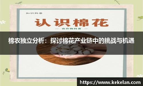 棉农独立分析：探讨棉花产业链中的挑战与机遇